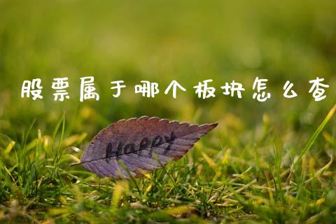 股票属于哪个板块怎么查_https://wap.ycdhulan.com_国际财经_第1张