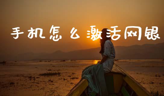 手机怎么激活网银_https://wap.ycdhulan.com_国际财经_第1张