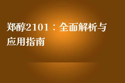 郑醇2101：全面解析与应用指南_https://wap.ycdhulan.com_财务投资_第1张
