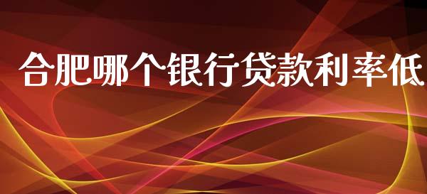 合肥哪个银行贷款利率低_https://wap.ycdhulan.com_财务投资_第1张