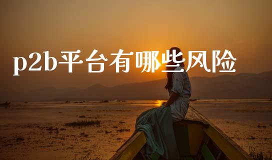 p2b平台有哪些风险_https://wap.ycdhulan.com_国际财经_第1张