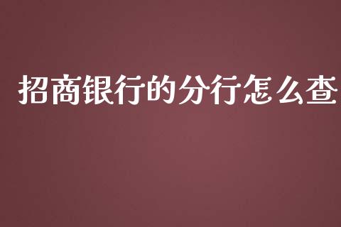 招商银行的分行怎么查_https://wap.ycdhulan.com_金融咨询_第1张