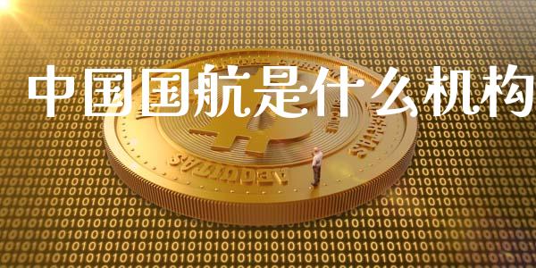 中国国航是什么机构_https://wap.ycdhulan.com_投资基金_第1张