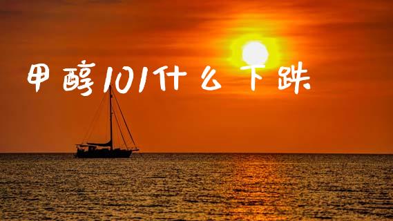 甲醇101什么下跌_https://wap.ycdhulan.com_财务投资_第1张