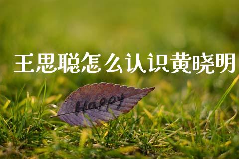 王思聪怎么认识黄晓明_https://wap.ycdhulan.com_国际财经_第1张