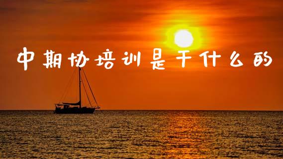 中期协培训是干什么的_https://wap.ycdhulan.com_金融咨询_第1张