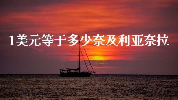1美元等于多少奈及利亚奈拉_https://wap.ycdhulan.com_财务投资_第1张