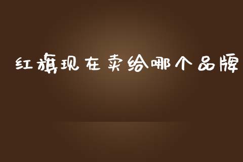 红旗现在卖给哪个品牌_https://wap.ycdhulan.com_金融咨询_第1张