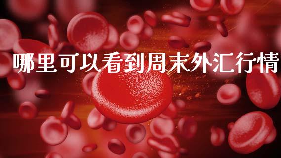 哪里可以看到周末外汇行情_https://wap.ycdhulan.com_投资基金_第1张