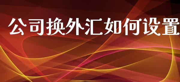 公司换外汇如何设置_https://wap.ycdhulan.com_财经新闻_第1张