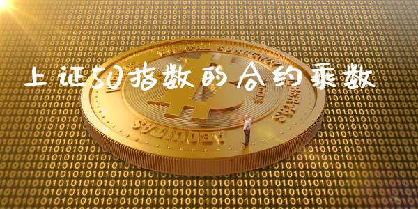 上证50指数的合约乘数_https://wap.ycdhulan.com_金融咨询_第1张
