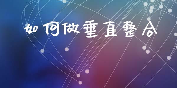 如何做垂直整合_https://wap.ycdhulan.com_金融咨询_第1张