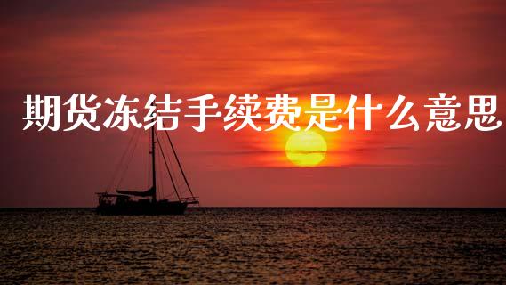 期货冻结手续费是什么意思_https://wap.ycdhulan.com_财经新闻_第1张