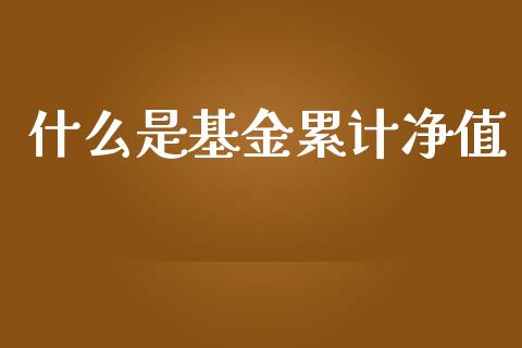 什么是基金累计净值_https://wap.ycdhulan.com_财经新闻_第1张