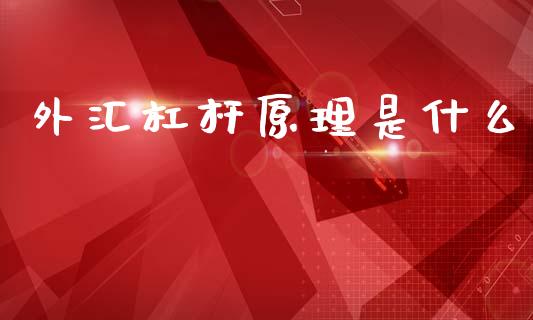 外汇杠杆原理是什么_https://wap.ycdhulan.com_投资基金_第1张