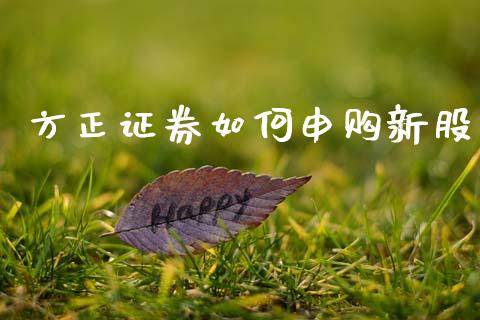 方正证券如何申购新股_https://wap.ycdhulan.com_国际财经_第1张