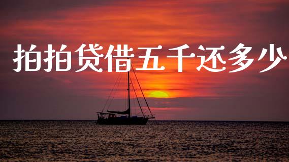 拍拍贷借五千还多少_https://wap.ycdhulan.com_财经新闻_第1张