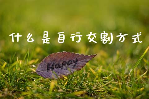 什么是自行交割方式_https://wap.ycdhulan.com_投资基金_第1张