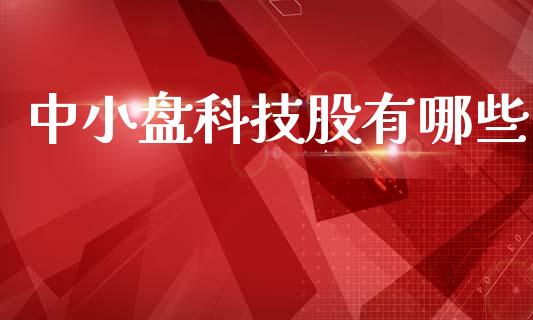 中小盘科技股有哪些_https://wap.ycdhulan.com_国际财经_第1张