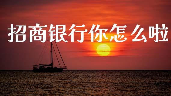 招商银行你怎么啦_https://wap.ycdhulan.com_财务投资_第1张