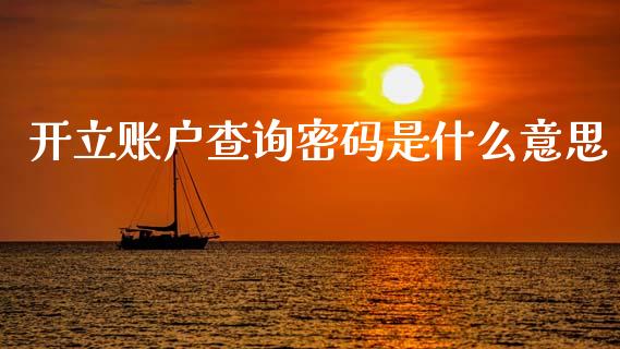 开立账户查询密码是什么意思_https://wap.ycdhulan.com_金融咨询_第1张