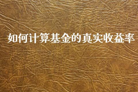 如何计算基金的真实收益率_https://wap.ycdhulan.com_货币市场_第1张