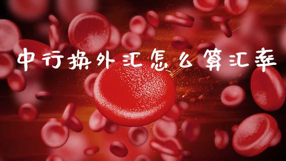 中行换外汇怎么算汇率_https://wap.ycdhulan.com_财务投资_第1张