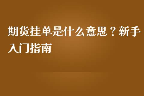 期货挂单是什么意思？新手入门指南_https://wap.ycdhulan.com_财务投资_第1张