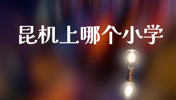 昆机上哪个小学_https://wap.ycdhulan.com_财经新闻_第1张