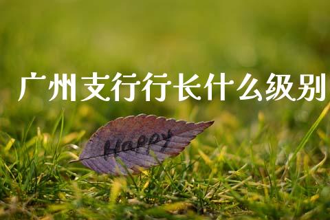 广州支行行长什么级别_https://wap.ycdhulan.com_财经新闻_第1张