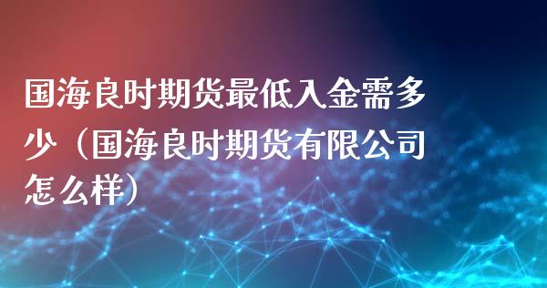 国海良时期货最低入金需多少（国海良时期货有限公司怎么样）_https://wap.ycdhulan.com_财经新闻_第1张