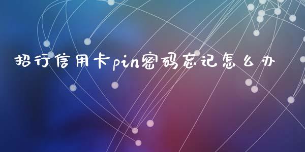 招行信用卡pin密码忘记怎么办_https://wap.ycdhulan.com_财务投资_第1张