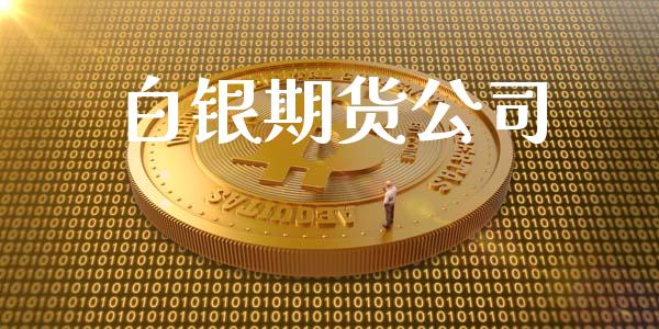 白银期货公司_https://wap.ycdhulan.com_财务投资_第1张