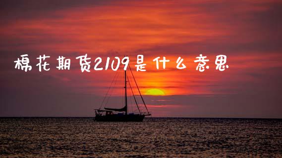 棉花期货2109是什么意思_https://wap.ycdhulan.com_财务投资_第1张