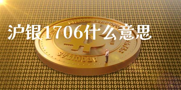 沪银1706什么意思_https://wap.ycdhulan.com_货币市场_第1张