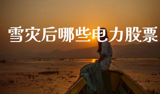 雪灾后哪些电力股票_https://wap.ycdhulan.com_金融咨询_第1张