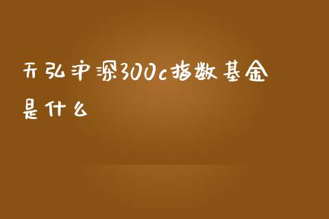天弘沪深300c指数基金是什么_https://wap.ycdhulan.com_财务投资_第1张