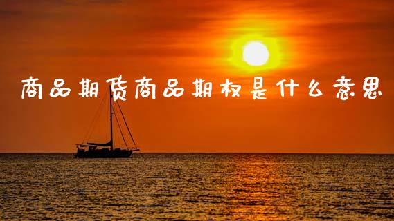 商品期货商品期权是什么意思_https://wap.ycdhulan.com_投资基金_第1张