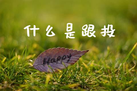 什么是跟投_https://wap.ycdhulan.com_货币市场_第1张