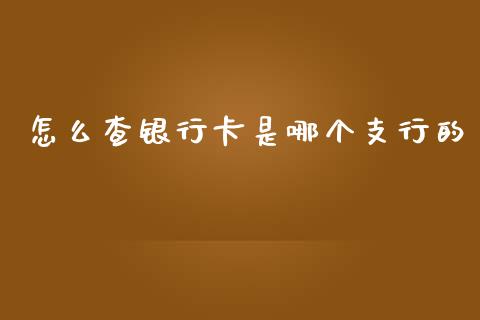 怎么查银行卡是哪个支行的_https://wap.ycdhulan.com_财务投资_第1张