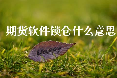 期货软件锁仓什么意思_https://wap.ycdhulan.com_金融咨询_第1张