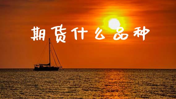 期货什么品种_https://wap.ycdhulan.com_货币市场_第1张