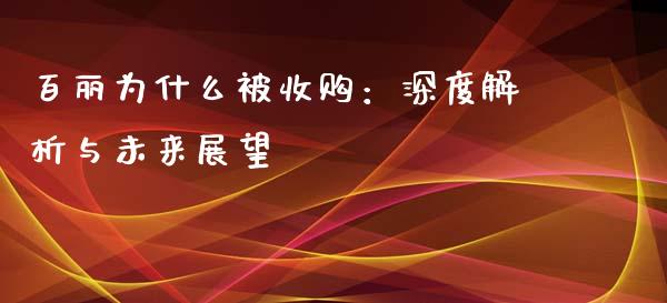 百丽为什么被收购：深度解析与未来展望_https://wap.ycdhulan.com_财务投资_第1张