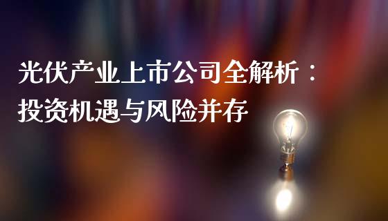 光伏产业上市公司全解析：投资机遇与风险并存_https://wap.ycdhulan.com_国际财经_第1张