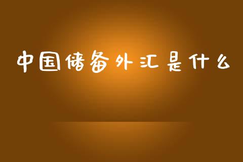 中国储备外汇是什么_https://wap.ycdhulan.com_财务投资_第1张