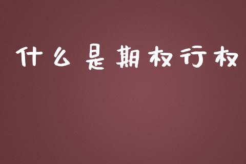 什么是期权行权_https://wap.ycdhulan.com_国际财经_第1张