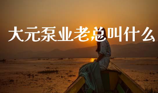 大元泵业老总叫什么_https://wap.ycdhulan.com_财务投资_第1张