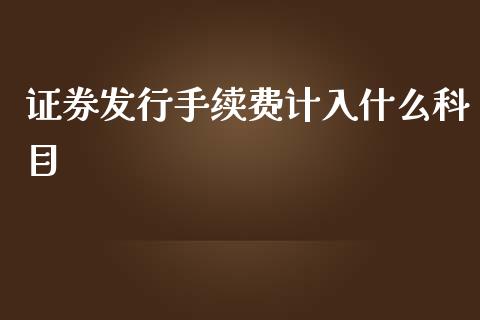 证券发行手续费计入什么科目_https://wap.ycdhulan.com_国际财经_第1张