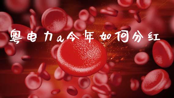 粤电力a今年如何分红_https://wap.ycdhulan.com_国际财经_第1张