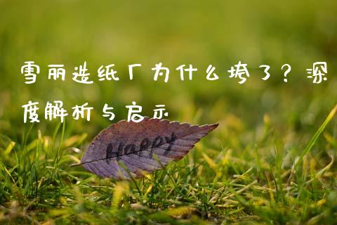 雪丽造纸厂为什么垮了？深度解析与启示_https://wap.ycdhulan.com_国际财经_第1张